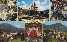 Gruß Aus Mariazell - Mariazell