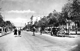 Avenue Ferdinand Aillaud En 1956 - Tizi Ouzou