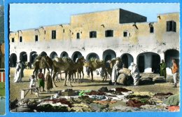 Delcampe - FR627, Chameaux Sur La Place Du Marché, 105, M'ZAB, Animée, Circulée 1961 Sous Enveloppe - Ghardaia