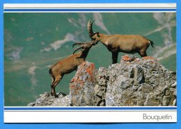 Delcampe - FR630, Bouquetin Dans Les Alpes, GF, Circulée Sous Enveloppe - Jagd