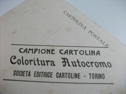 TORINO SPONDE DEL PO CAMPIONE CARTOLINA COLORITURA AUTOCROMO SOCIETA' EDITRICE TORINO - Fiume Po