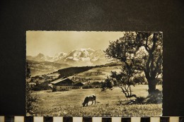 Delcampe - CP, 74, COMBLOUX Alt 986 M Et Le Massif Du Mont Blanc Voyagé En 1959 Ed J CELLARD - Combloux