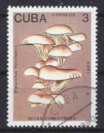Cuba  1989  Edibale Mushrooms 3c  (o) - Used Stamps