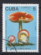 Cuba  1989  Edibale Mushrooms 5c  (o) - Used Stamps