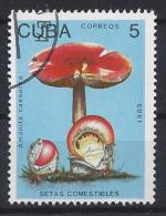Cuba  1989  Edibale Mushrooms 5c  (o) - Used Stamps