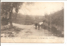 Delcampe - CHATEAUNEUF  La Font Qui Pisse , Le Lavoir   ETAT - Chateauneuf Sur Charente