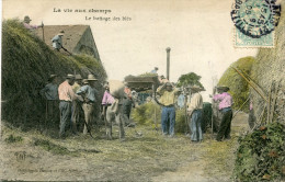 Delcampe - TYPE(BATTAGE DES BLES) - Bauern