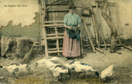 Delcampe - TYPE(OIE) CARTE EN COULEUR TOILEE - Bauern