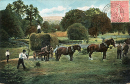 Delcampe - TYPE(MOISSON) - Bauern