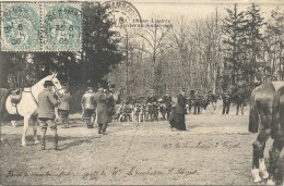 Delcampe - Gard : Uzes, Meute De La Duchesse D'Uzes En Foret De Rambouillet, Rare - Uzès