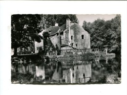 Delcampe - CP - DOMONT (95) LE CHATEAU DE LA CHASSE - Domont