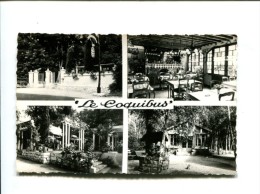 Delcampe - CP - MILLY LA FORET (91) " LE COQUIBUS " MILLY LA FORET AUBERGE EN FORET - Milly La Foret