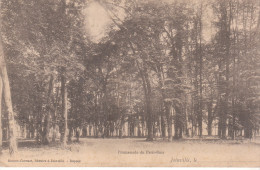 Delcampe - CPA JOINVILLE PROMENADE DU PETIT BOIS - Joinville