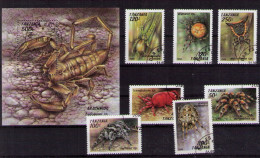 TANZANIA Scorpion And Spiders - Araignées