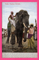 Delcampe - Colombo - Tusker Elephant - Éléphant Adulte - Animée - M.B. UDUMAN'S - N° 130 - Couleurs - Sri Lanka (Ceylon)