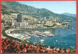 CARTOLINA NV MONTE CARLO - MONACO - Vista Sul Porto - 10 X 15 - Hafen