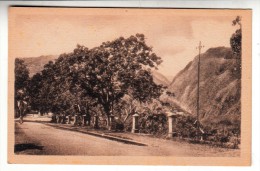 La Réunion - Saint Denis - Rue Du Rempart - Editeur: Daudé N° 16 - Saint Denis