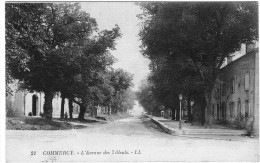 Delcampe - COMMERCY L AVENUE DES TILLEULS - Commercy