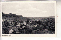 4791 ALTENBEKEN, Panorama - Altenbeken