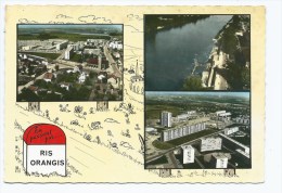 Delcampe - CPSM MULTIVUES COLORISEE EN PASSANT PAR... RIS ORANGIS, ENSEMBLES, IMMEUBLES, DESSIN BORNE KILOMETRIQUE, ESSONNE 91 - Ris Orangis
