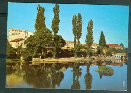 Delcampe - Cpsm Gf   Mansle - Les Bords De La Charente Et L'hotel " Beau Rivage "    Rag71 - Mansle