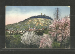 171 * HEPPENHEIM MIT STARKENBURG * IM FRÜHLING * 1913  **!! - Heppenheim