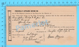 Afidavit Certificat 1911, Vente De Bois Par Louis Gagné Lingwick à  Brompton Pulp & Paper East Angus P. Quebec ) - Canadá