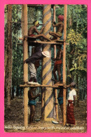 Delcampe - Tapping Rubber Trees With The Aid Of Scoffolds - Animée - COLOMBO APOTHECARIES N° 53 - 1912 - Timbre 6 Cents - Sri Lanka (Ceylon)