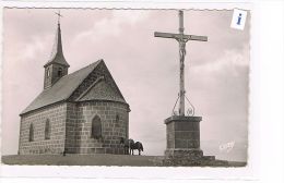 Delcampe - CPSM (15) MAURIAC - Chapelle Du Puy Saint-Mary -  Chevaux - (028) - Mauriac