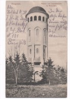 9112  BURGSTÄDT  -  AUSSICHTSTURM IM WETTINHAIN    ~ 1910 - Burgstädt