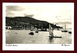 PORTUGAL - MADEIRA - FUNCHAL - UMA VISTA - 1930 REAL PHOTO - Albums & Collections