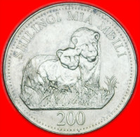 * ZANZIBAR (1998-2014) ~ LIONS  TANZANIA  200 SHILLINGS 1998! LOW START NO RESERVE!!! - Tanzanie