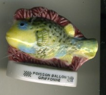 FEVE   POISSON BALLON GRIFFONNE  Série Atlas - Tiere