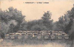 Delcampe - YVELINES  78   RAMBOUILLET  LA RUCHE  LE RUCHER  JEUNESSE  ENSEIGNEMENT  APICULTURE - Rambouillet