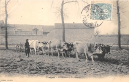 Delcampe - YVELINES  78  TRAPPES  LA CULTURE  LE LABOUR  AGRICULTURE - Trappes