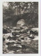Delcampe - Schierke_Brücke Im Kalten Bodetal - Schierke