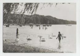 Delcampe - Altenhof-Am Werbellinsee - Eberswalde