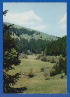 Delcampe - Deutschland; Willingen Waldeck; Hermeketal - Waldeck