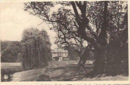 Delcampe - Brasschaat; Voshol - Brasschaat