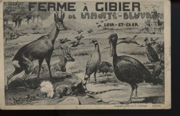 Delcampe - Lamotte Beuvron Ferme A Gibier  Ph Charlot Proprietaire (voir Gros Manque Vendu En L Etat )  Rare - Lamotte Beuvron