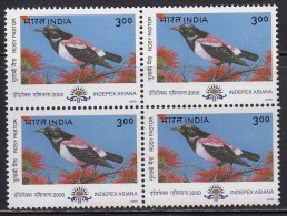 Delcampe - India MNH 2000, Block Of 4, Indepex-Asiana. Migratory Birds, Bird, Rosy Pastor - Blocs-feuillets