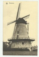 Boechout    *  Molen - Moulin - Boechout