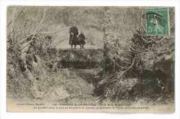 Delcampe - CPA 29 LANDERNEAU FORET DE LA GRANDE PALUD LE TROU OU JUT ENFOUI M. CADIOU - Landerneau