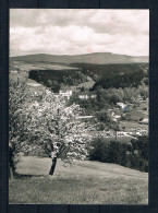 (1547) AK Freyung - Bayer. Wald - Schloß Wolfstein - Freyung