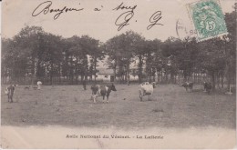 Delcampe - Yvelines :  LE   VESINET  :  Asile ,  La  Laiterie  - Vache - Le Vésinet