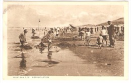 WIJK  AAN  ZEE    --  STRANDLEVEN - Wijk Aan Zee