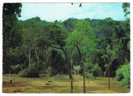 RB 1033 - Australia Postcard -  Olsen's Caves Mountain 18 Miles North Of Rockhampton - Central Queensland - Rockhampton