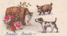 Mignonnette  5,5x10,5. CATS . CHAT . CHATON Dans Tonneau Devant 2 Chiens - Cats