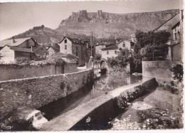 Delcampe - Cpsm 48 Florac Le Vivier (écrite En 1965) - Florac