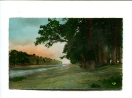 Delcampe - CP - CARENTAN (50) PROMENADE DU HAUT DICK - Carentan